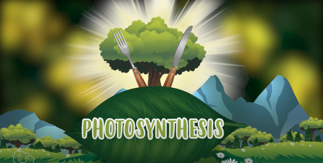 photosynthesis video