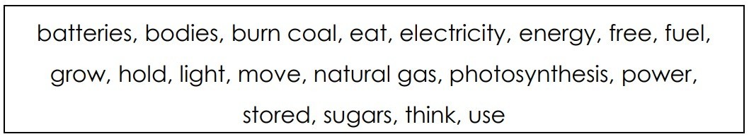 word bank for a reading assignment